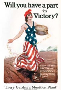 category article image